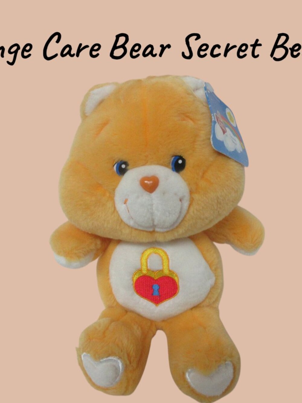Vintage 2003 Care Bears Secret Bear American Greeting 13" Plush VGC!! Rare!!